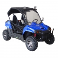 Yan yana utv 150cc spor 